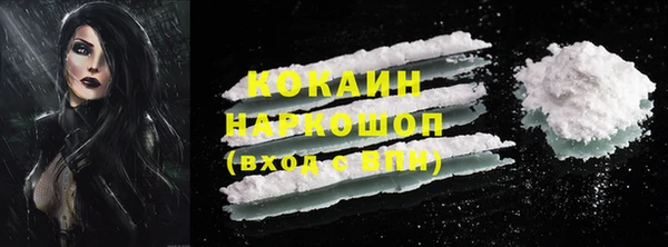 соль ск Тавда