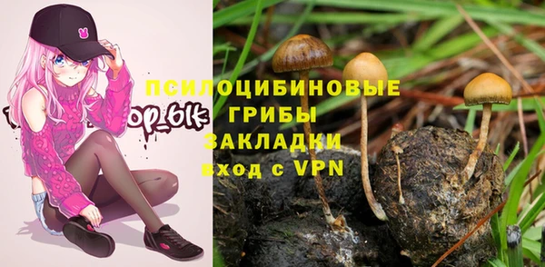 наркотики Сясьстрой