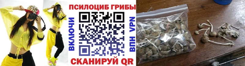 Псилоцибиновые грибы ЛСД  где продают   OMG сайт  Бугуруслан 