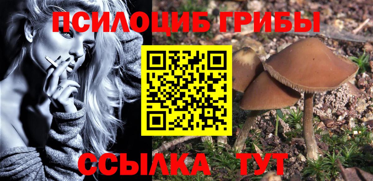 Бугуруслан  Псилоцибиновые грибы мицелий  Вход с VPN 