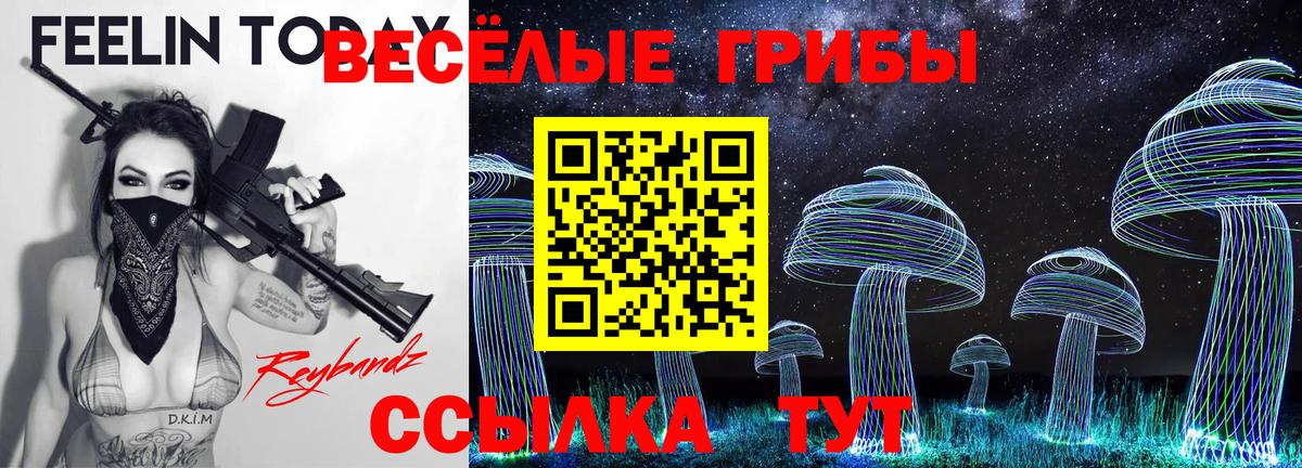 Галлюциногенные грибы мицелий Бугуруслан