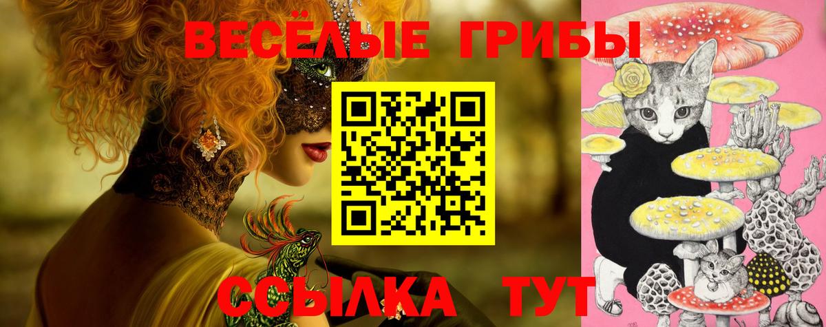 Галлюциногенные грибы Magic Shrooms Бугуруслан